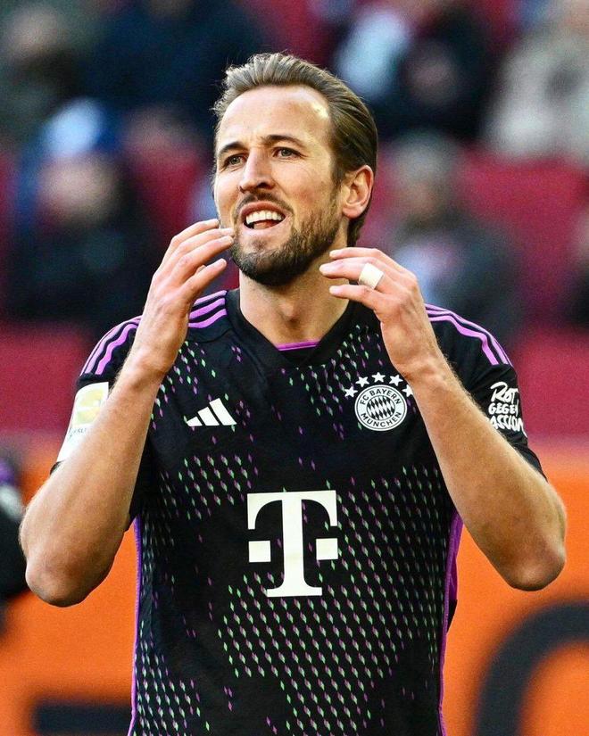 体育领域的 体育领域的