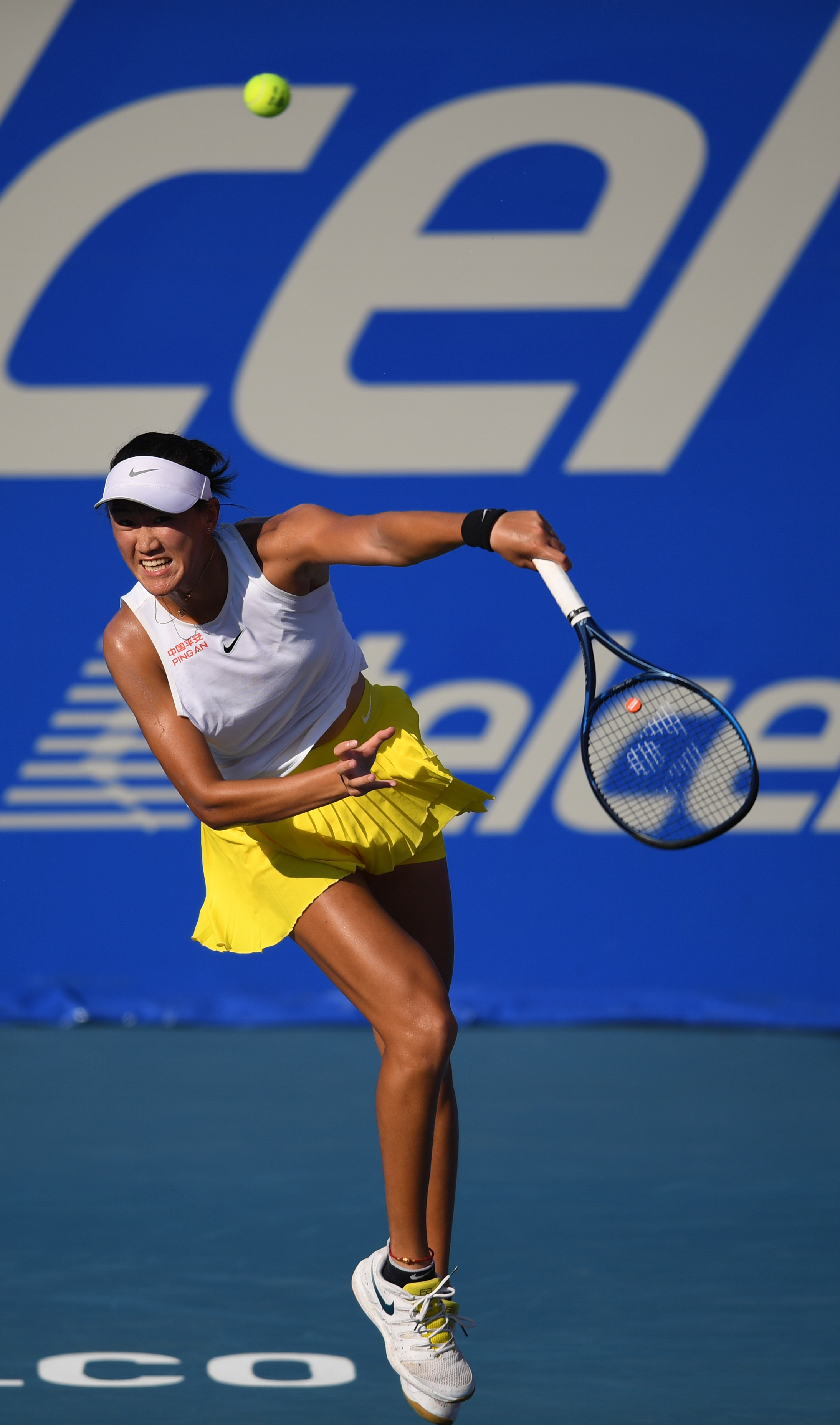 了大量关注 了大量关注